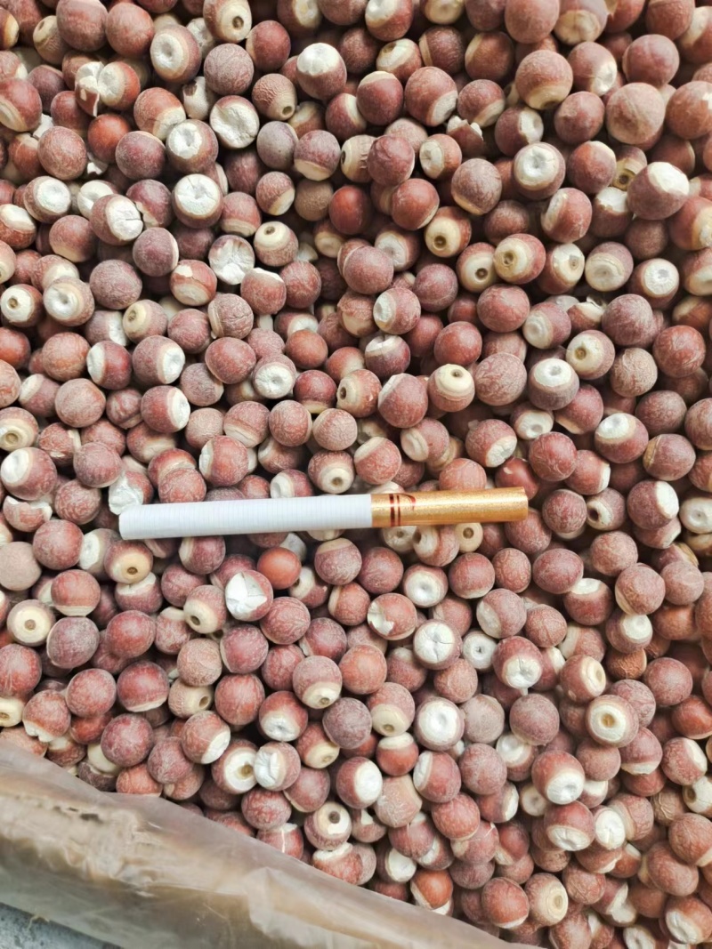 芡实欢迎电话咨询