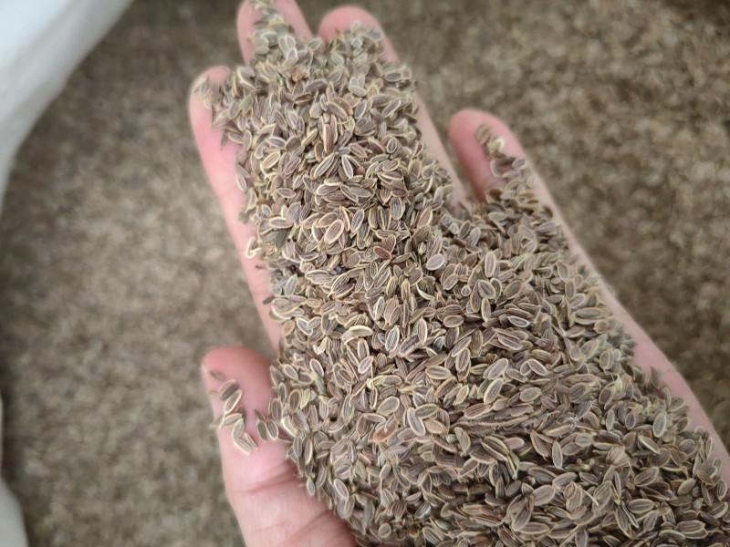 千里香食用香料调料家用商用火锅红烧调料
