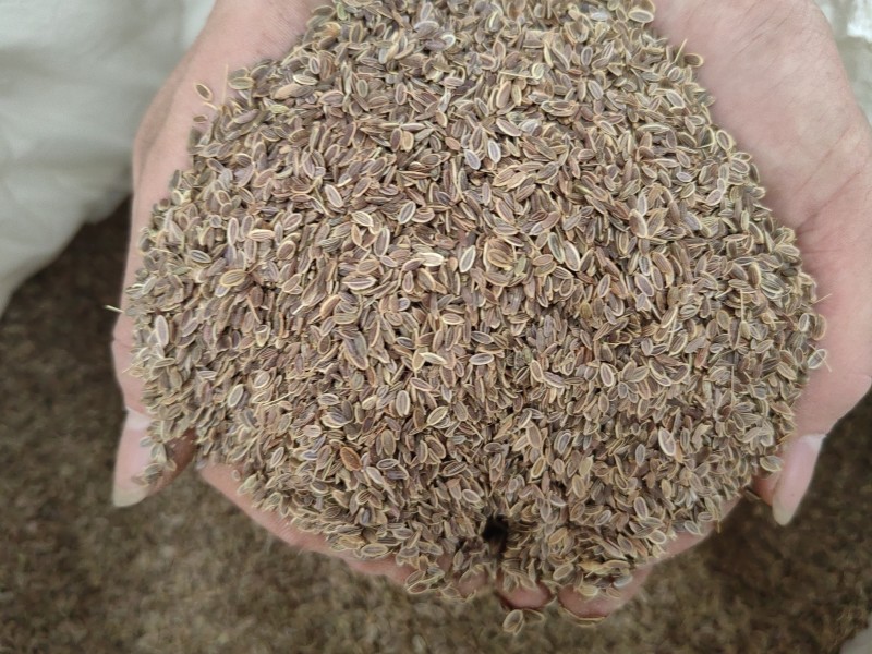千里香食用香料调料家用商用火锅红烧调料