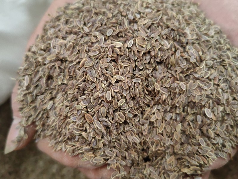 千里香食用香料调料家用商用火锅红烧调料