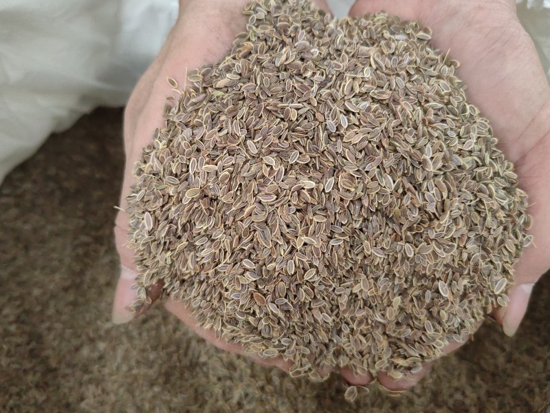 千里香食用香料调料家用商用火锅红烧调料