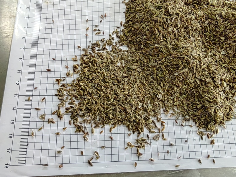 千里香食用香料调料家用商用火锅红烧调料