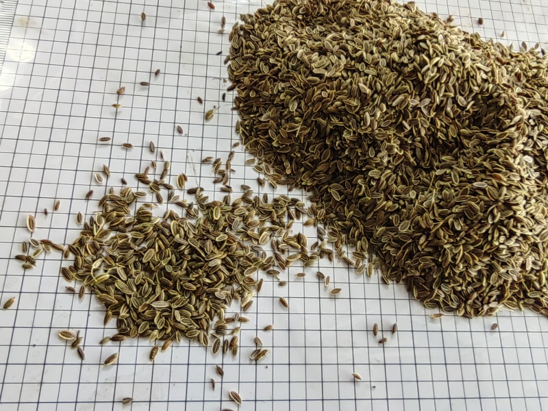 千里香食用香料调料家用商用火锅红烧调料