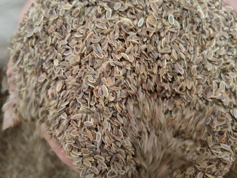 千里香食用香料调料家用商用火锅红烧调料