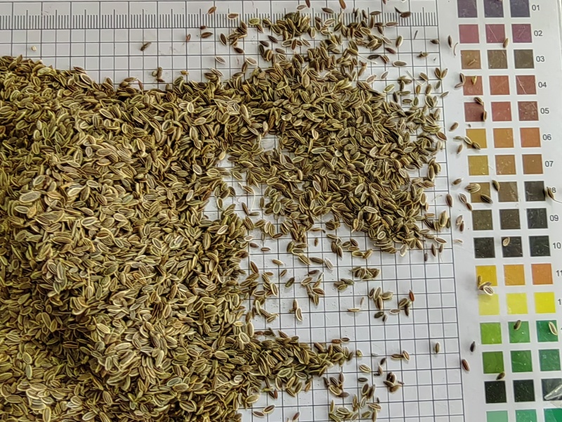 千里香食用香料调料家用商用火锅红烧调料