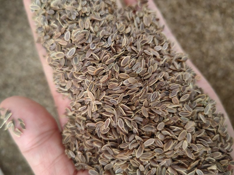 千里香食用香料调料家用商用火锅红烧调料