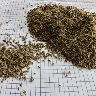 千里香食用香料调料家用商用火锅红烧调料