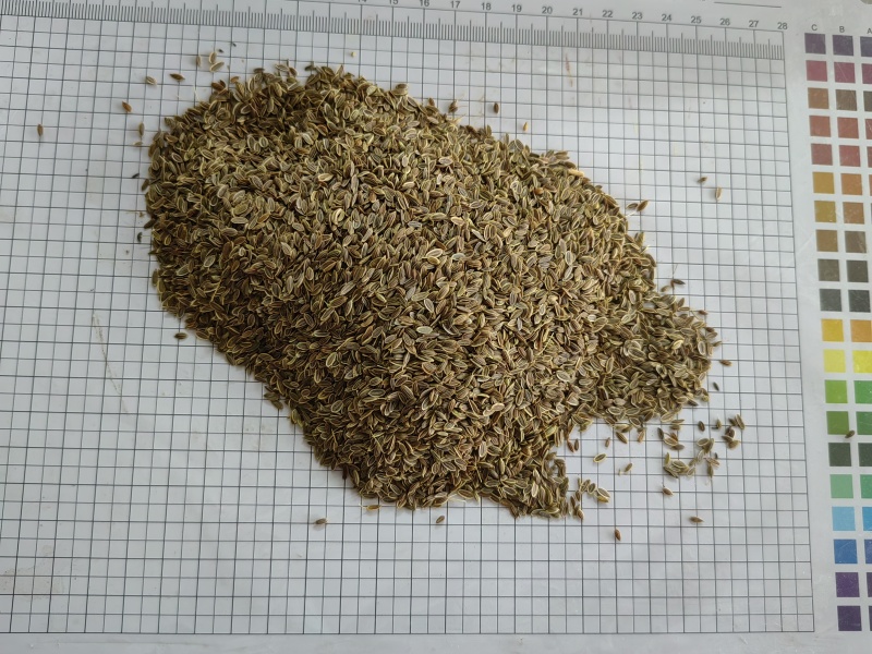 千里香食用香料调料家用商用火锅红烧调料
