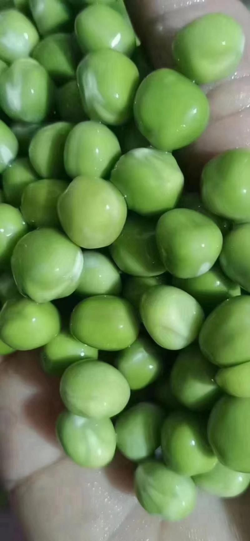 干青豌豆一件100斤，96斤的都有现货