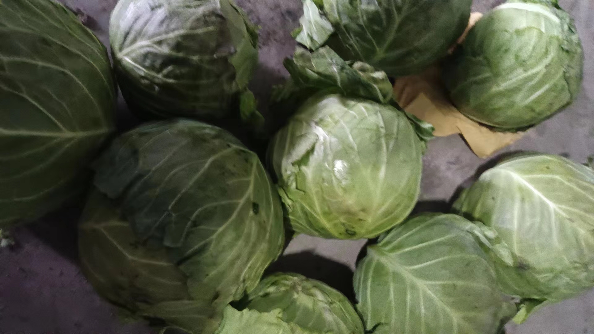 中甘甘蓝烹饪图