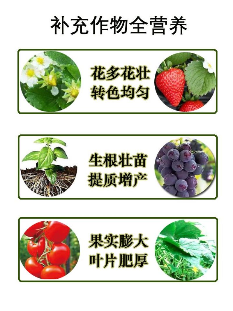浓缩海藻酶解鱼蛋白原浆厂家生根保花保果膨果上色防裂改土