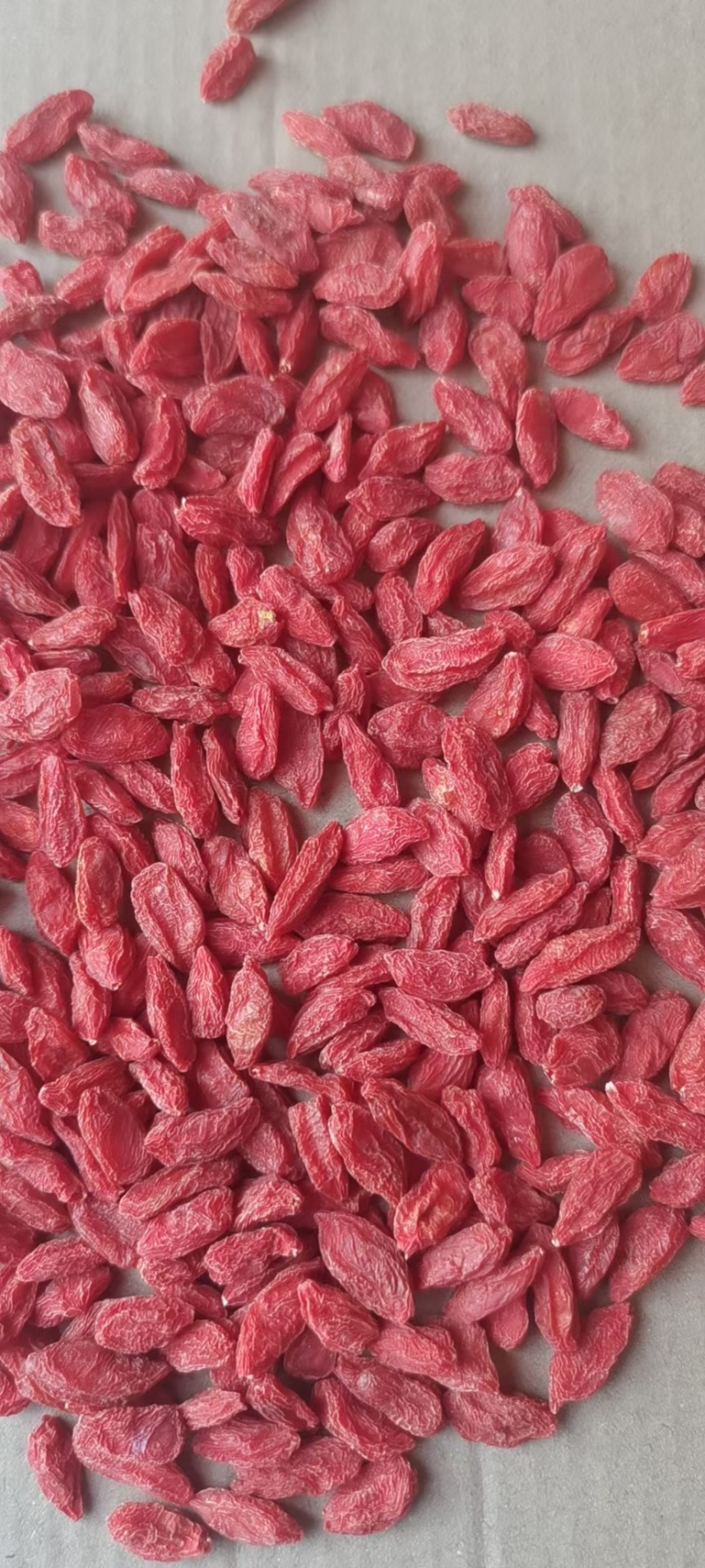 优质宁夏红枸杞头茬条形果，颗粒饱满规格齐全