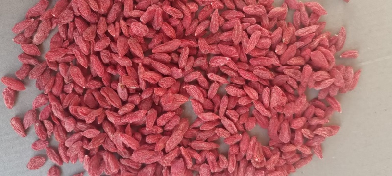 优质宁夏红枸杞头茬条形果，颗粒饱满规格齐全
