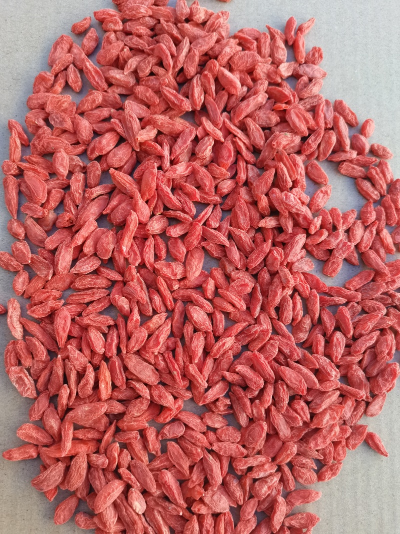 优质宁夏红枸杞头茬条形果，颗粒饱满规格齐全