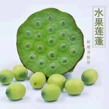扬州水果莲蓬产地直发货源充足价格美丽欢迎来电