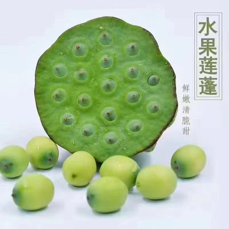 扬州水果莲蓬产地直发货源充足价格美丽欢迎来电