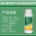 联肼乙螨唑杀虫剂抗性红蜘蛛二斑叶螨茶黄螨卵螨双杀