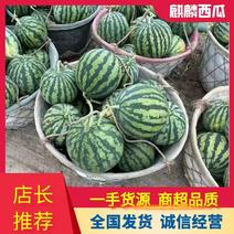 《包熟包甜》江苏东台冰糖麒麟西瓜产地直发/品质全国发