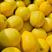 柠檬安岳柠檬批发原产地货源诚信靠谱品质保证
