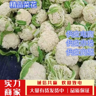 青梗白面花菜，山东郯城产地直发，一手货源，欢迎咨询合作