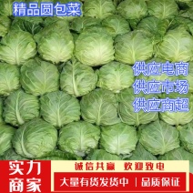 【甘蓝】中甘，产地直发，一手货源，诚信共赢欢迎新老顾客