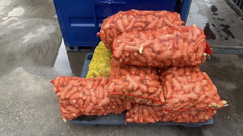 生姜保存方法示意图