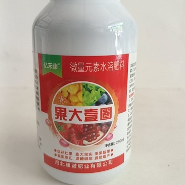 果大壹圈促花壮果大果实美果靓果果型周正增糖
