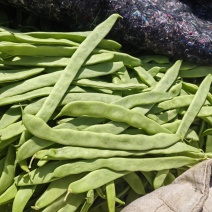 芸豆赶集货电商货平台商超市场大量现货