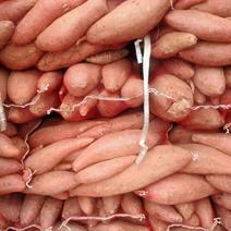 【红薯】西瓜红红薯基地直供一手货源全国发货