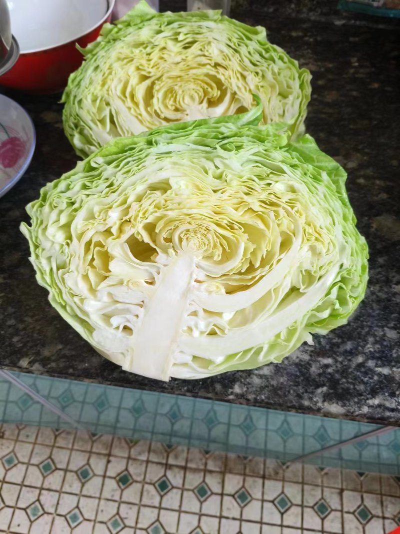 四川精品白菜莲花白包菜。紧包菜全国各地发货价格实惠