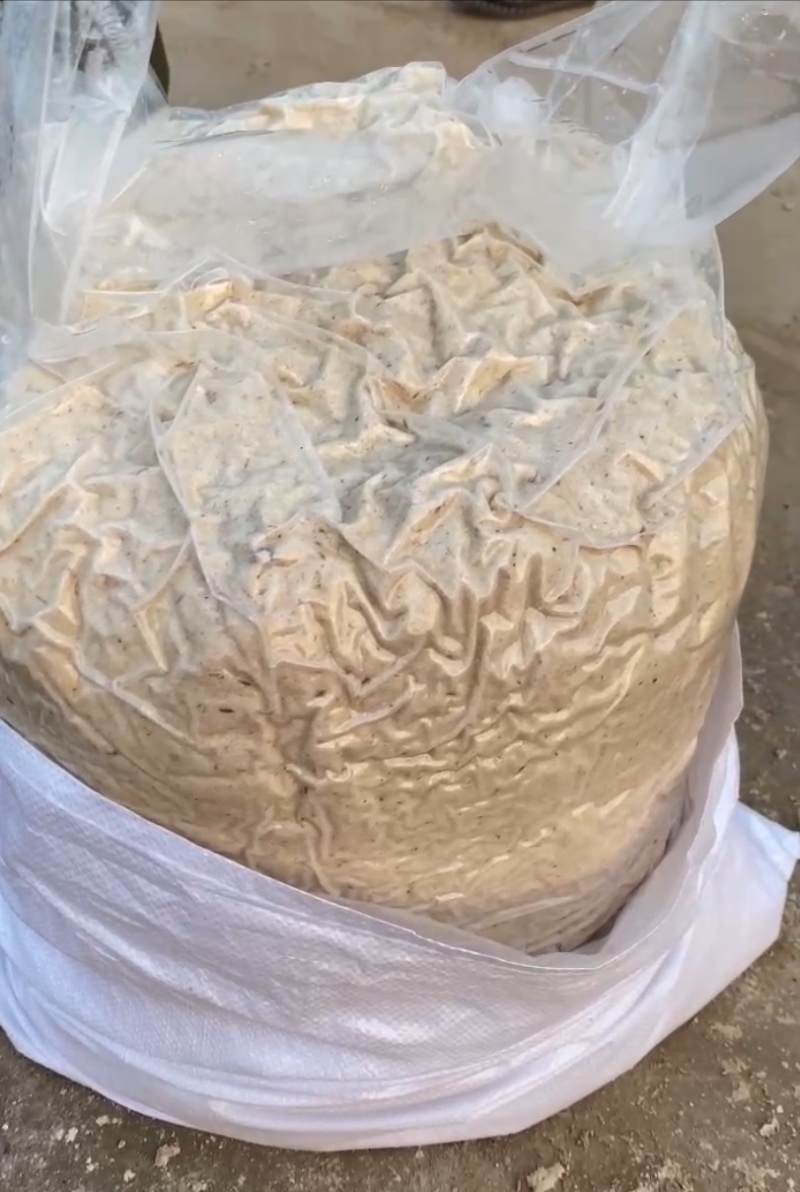 豆腐渣真空厌氧发酵长期存放不变质新鲜依旧适合长期使用养殖