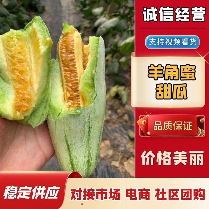 羊角蜜甜瓜各种规格价格可谈对接批发市场商超团购当天发货