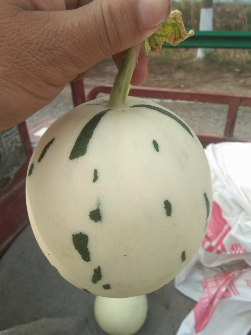 流星雨蜜露欢迎新老客户发财，发财。