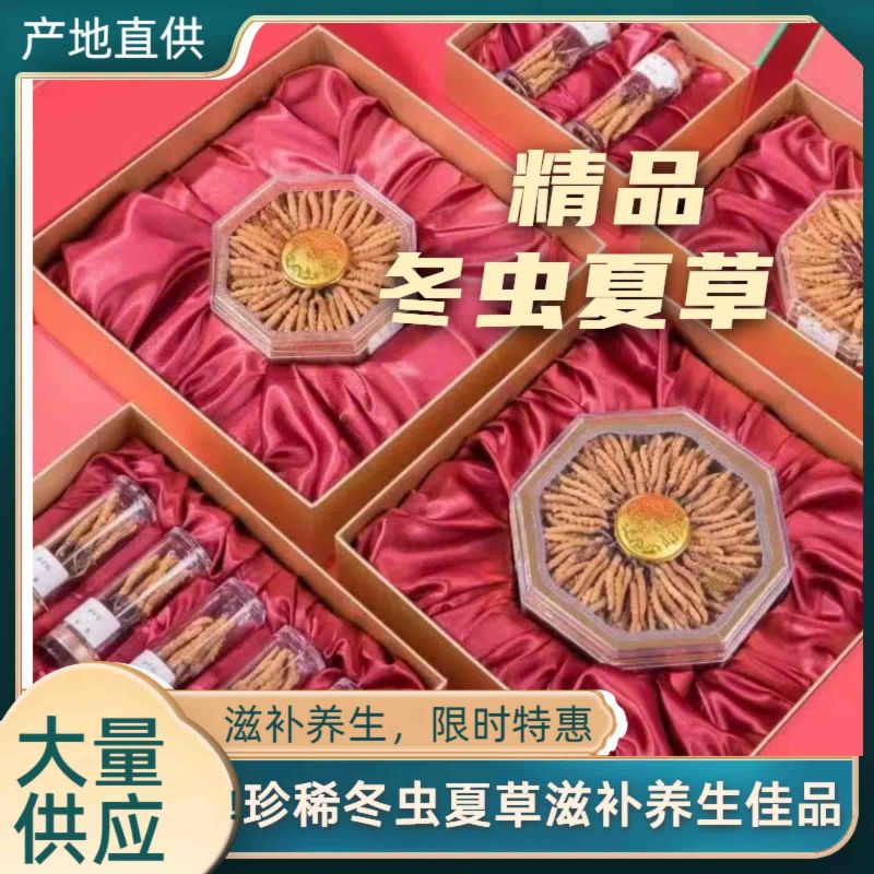 选购正宗虫草冬虫夏草超值性价比产地直发那曲虫草批发