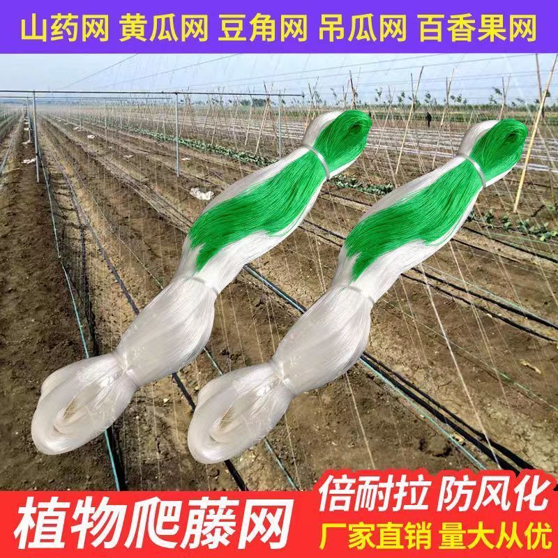 山药专用爬藤网单面双面单沟双沟各规格均有货