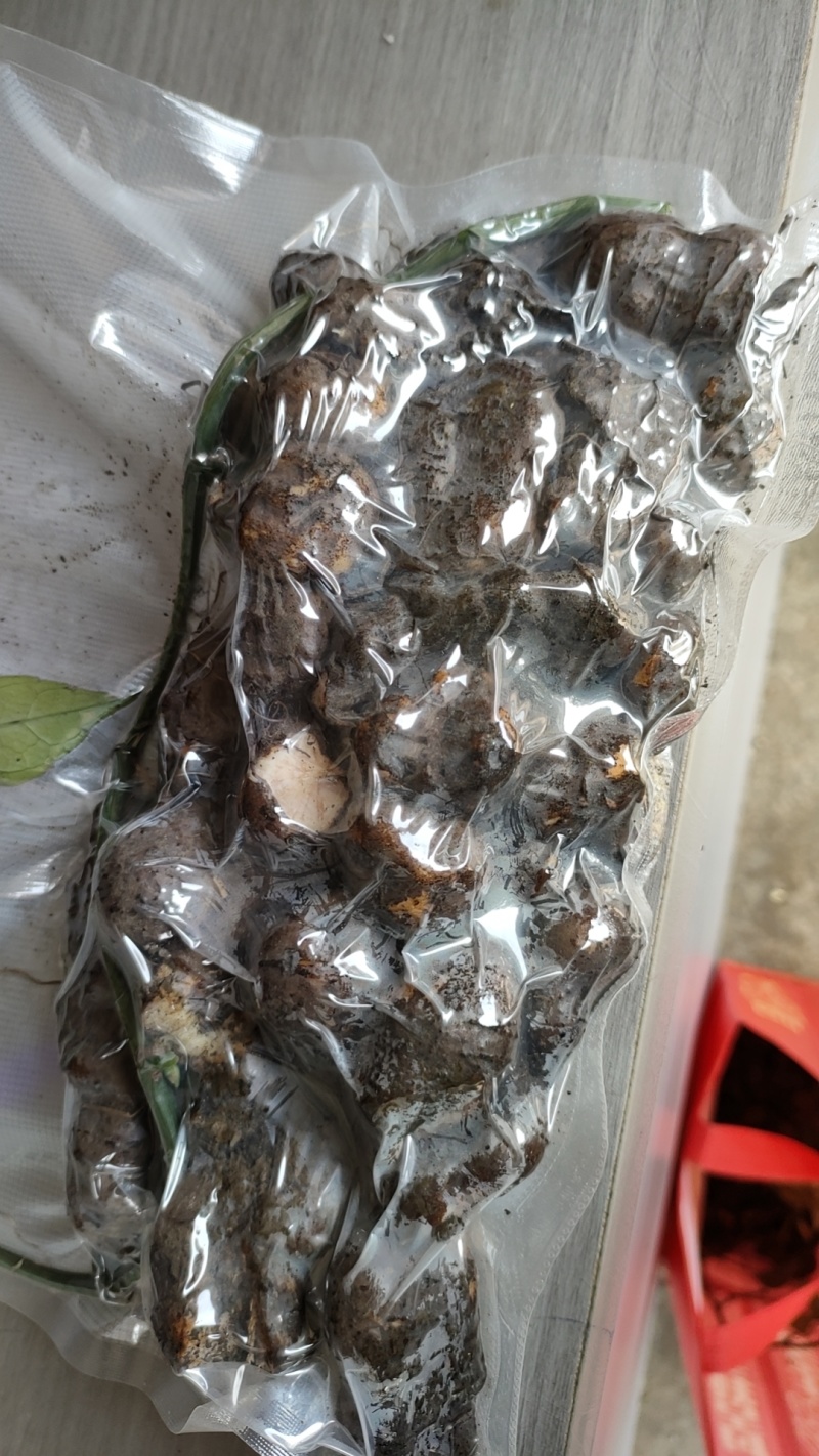 贵州优质三叶青