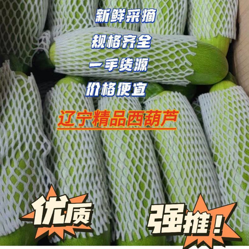 精品西葫芦大量上市价格便宜产地辽宁全国发货