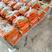 安徽省萧县大棚胡萝卜，土萝卜，水洗，市场。出口，电商平台