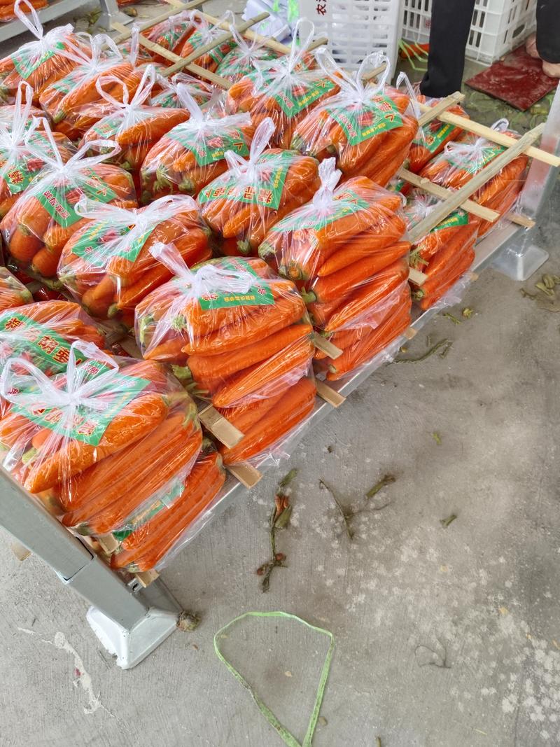 安徽省萧县大棚胡萝卜，土萝卜，水洗，市场。出口，电商平台