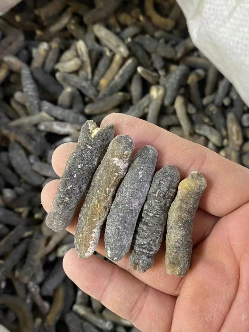 纯淡干非洲明秃参足干