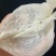 雨季干挑大盏，超美，纯手工，干净度极高
