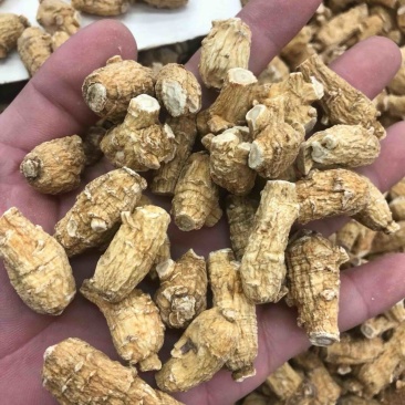 加种2克黄皮粒头花旗参一斤