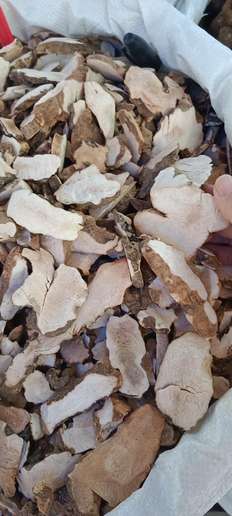 粉质土茯苓，中药材土茯苓