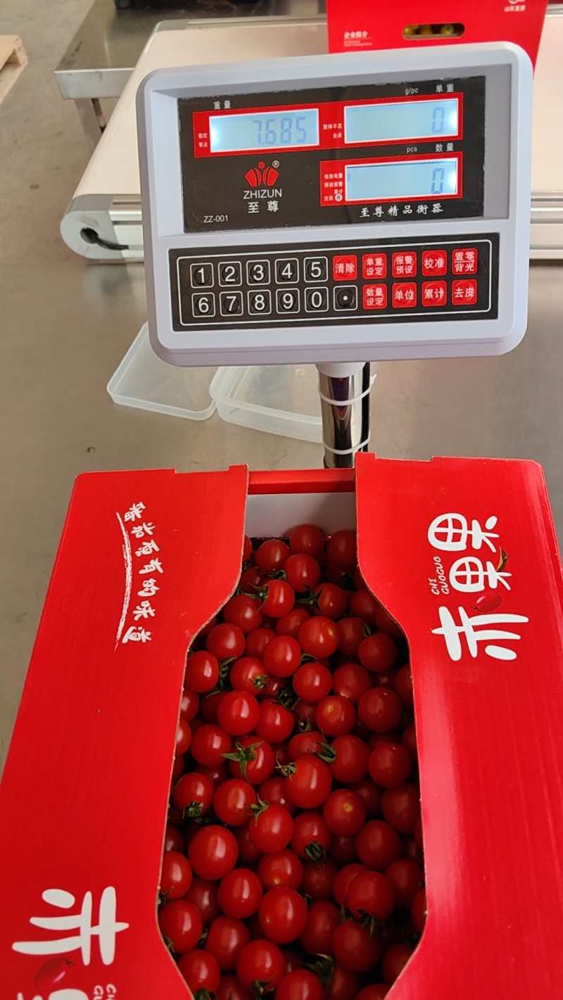 樱桃小番茄粒果