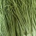 长豆角