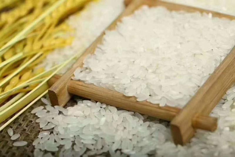 东北鸭田米稻花香大米传统种植生态米营养价值高