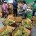 泰国进口金枕头榴莲巴掌榴莲A果带壳鲜果一件代发批发团购