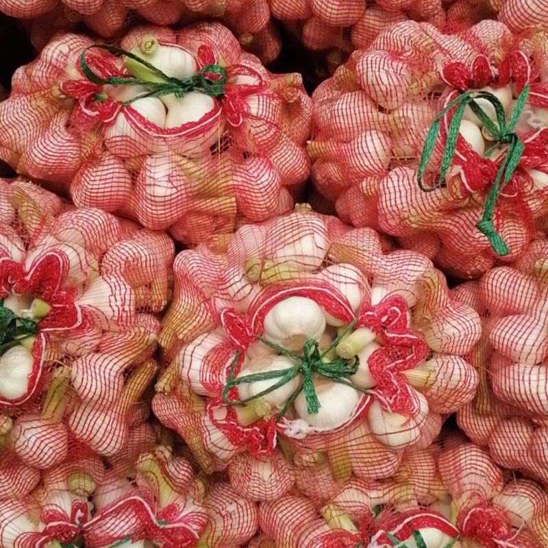 精品河南鲜蒜