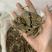 三七片保庆药业过筛货三七片实物拍摄发货如图