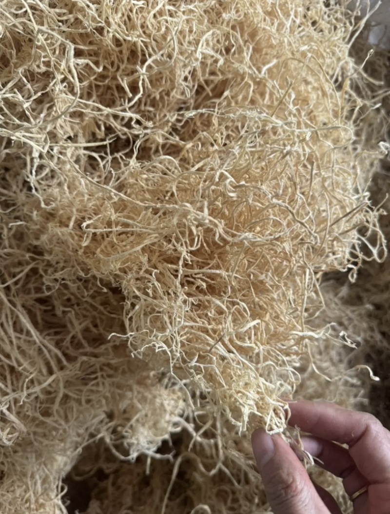 竹茹竹茹球竹茹丝另有竹茹丝干净无杂质实拍有视频